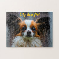 Chien Papillon.