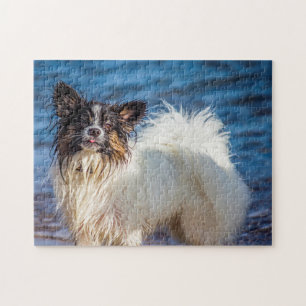 Puzzle Chien Papillon.