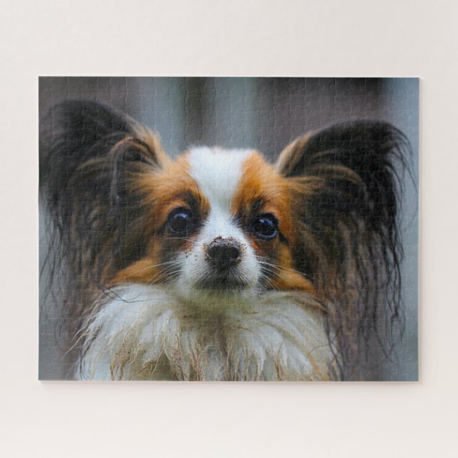 Puzzle Chien Papillon. (Horizontal)
