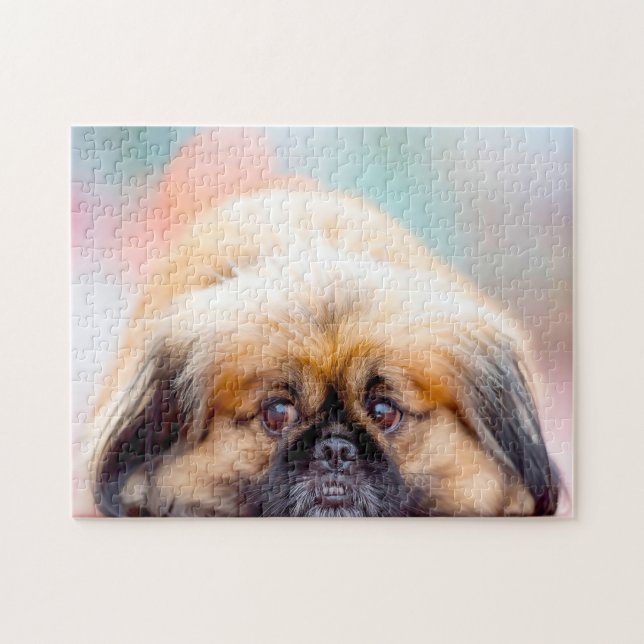Puzzle Chien Pékinois. (Horizontal)