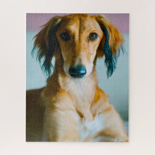 Puzzle Chien persan. (Vertical)