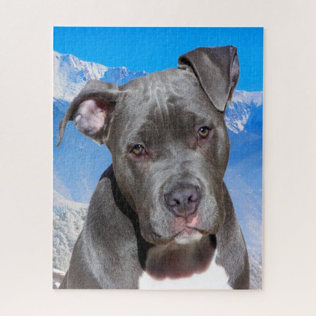 Puzzle Chien Pitbull. (Vertical)