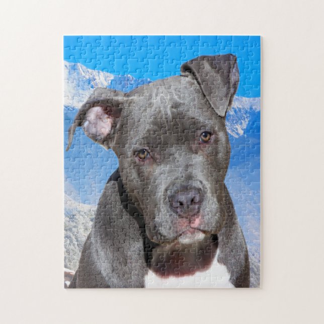 Puzzle Chien Pitbull. (Vertical)