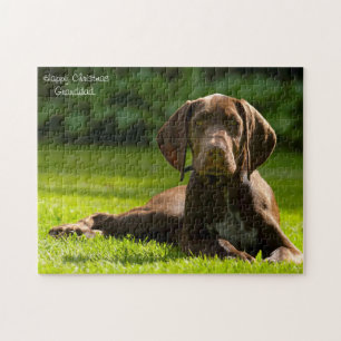 Puzzle Chien Pointer Allemand.