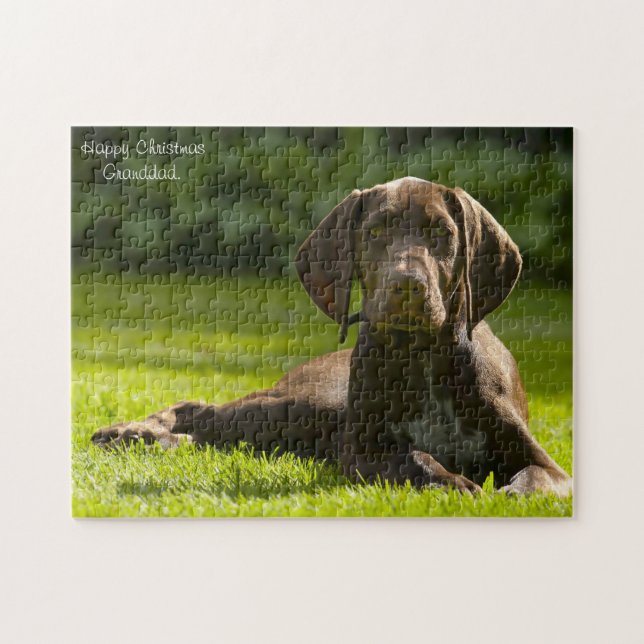 Puzzle Chien Pointeur Allemand. (Horizontal)