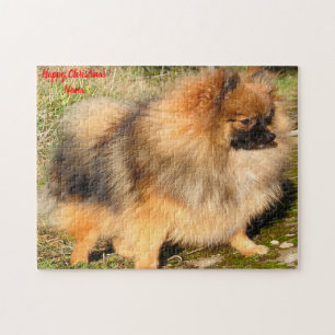 Puzzle Chien Poméranien.