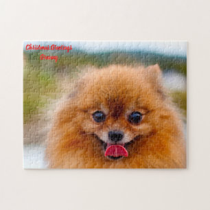 Puzzle Chien Poméranien.