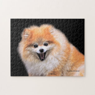 Puzzle Chien Poméranien mignon riant