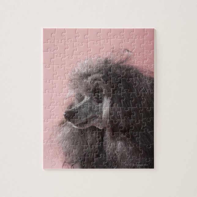 Puzzle Chien regardant loin (Vertical)