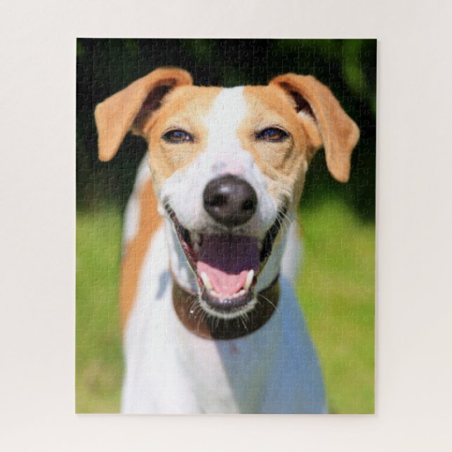 Puzzle Chien riant des images | de Getty (Vertical)