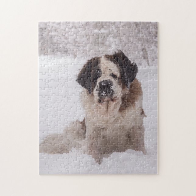 Puzzle Chien Saint Bernard dans la neige (Vertical)