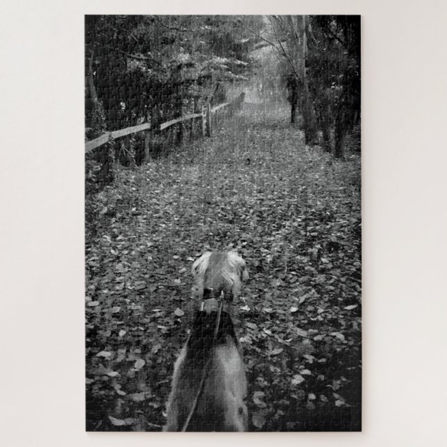 Puzzle Chien saluki dans les bois (Vertical)