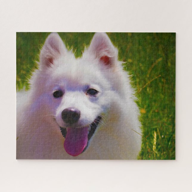Puzzle Chien Spitz Japonais. (Horizontal)