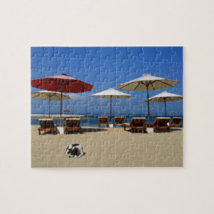 Puzzle Chien sur la plage