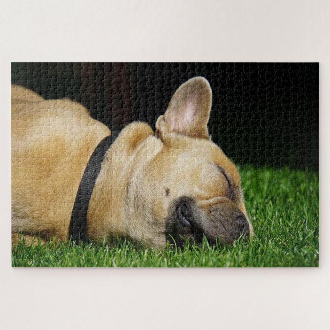 Puzzle Chien taureau français qui dort (Horizontal)