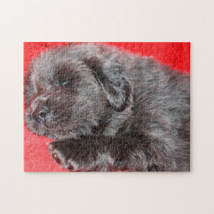 Puzzle Chien Tibétain Mastiff Jigsaws.