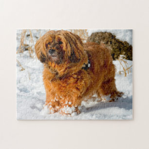 Puzzle Chien Tibétain Terrier Jigsaws.