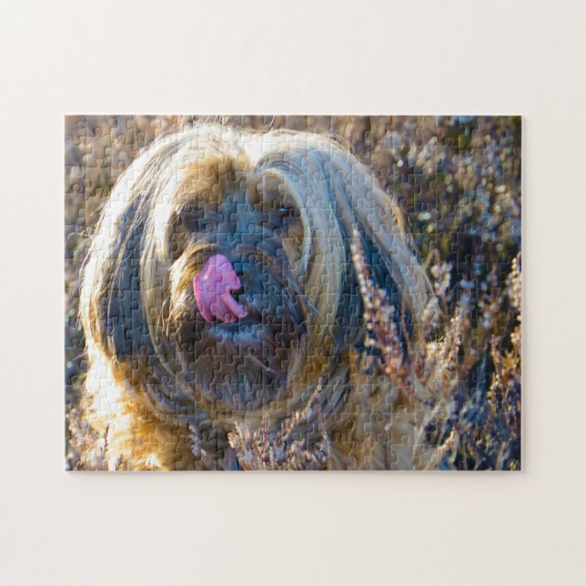 Puzzle Chien Tibétain Terrier Jigsaws. (Horizontal)