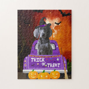 Puzzle chien weimaraner dans le camion Halloween