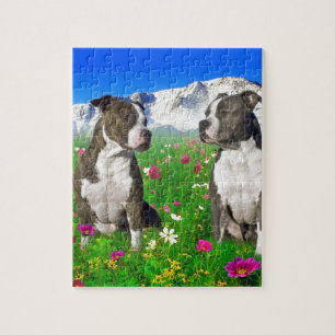 Puzzle Chiens Brindle et bleus du Staffordshire et de