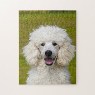 Puzzle Chiens Caniches.