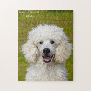 Puzzle Chiens Caniches.