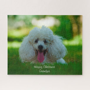 Puzzle Chiens Caniches.