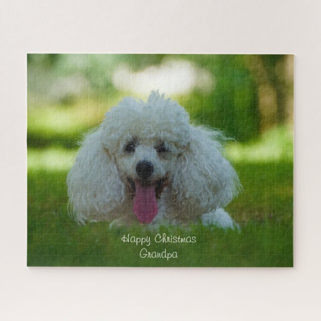 Puzzle Chiens Caniches. (Horizontal)