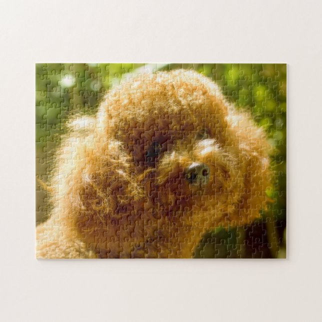 Puzzle Chiens Caniches. (Horizontal)