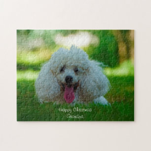 Puzzle Chiens Caniches.
