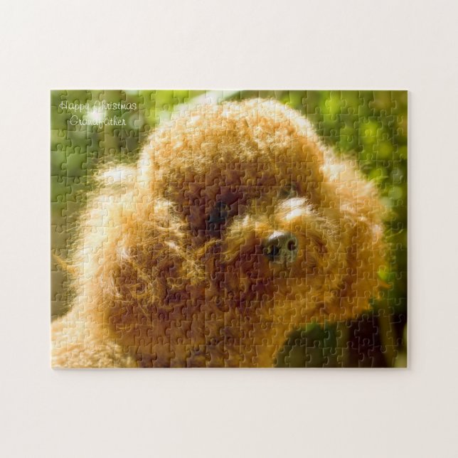 Puzzle Chiens Caniches. (Horizontal)