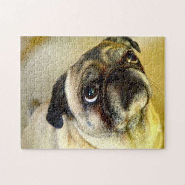 Puzzle Chiens Carlin. (Horizontal)