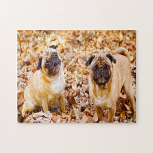 Puzzle Chiens Carlin.