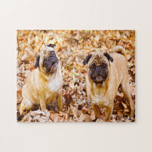 Puzzle Chiens Carlin.