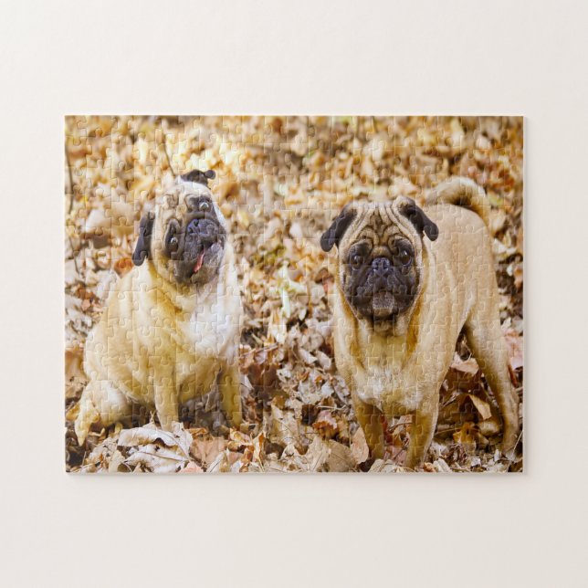 Puzzle Chiens Carlin. (Horizontal)