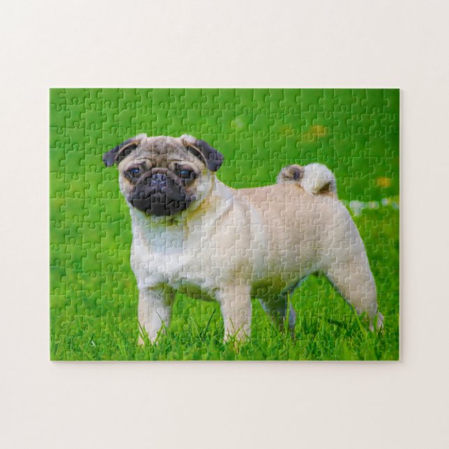 Puzzle Chiens Carlin. (Horizontal)