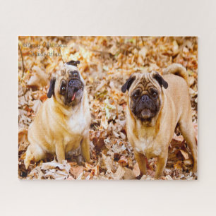 Puzzle Chiens carlins.