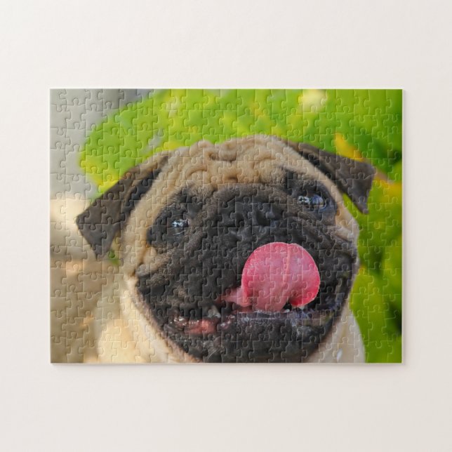 Puzzle Chiens carlins. (Horizontal)