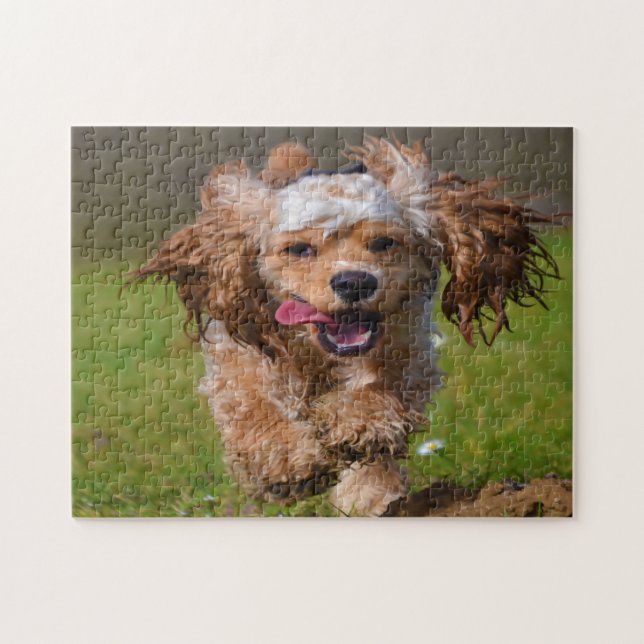 Puzzle Chiens Cocker de race pure. (Horizontal)