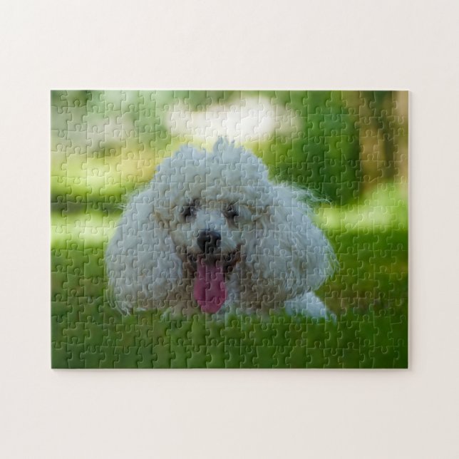 Puzzle Chiens de caniche. (Horizontal)