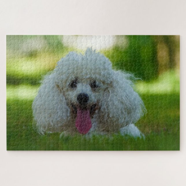 Puzzle Chiens de caniche. (Horizontal)