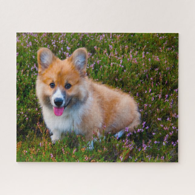 Puzzle Chiens de Corgi gallois Jigsaws. (Horizontal)
