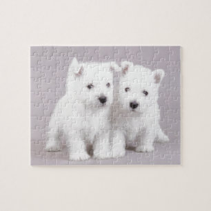 Puzzle Chiens de Westie