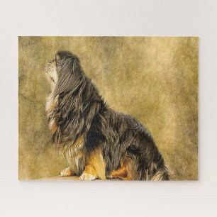 Puzzle Chiens d'Espagne tibétains Jigsaws