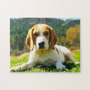 Puzzle Chiens Hound beagles.
