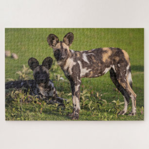 Puzzle Chiens sauvages africains en Tanzanie