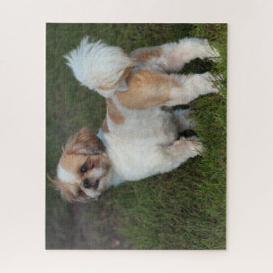 Puzzle Chih Tzu