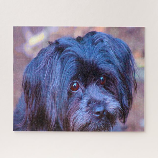 Puzzle Chih Tzu Dog Jigsaws. (Horizontal)