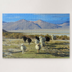 Puzzle Chilien mouton 1014-pc
