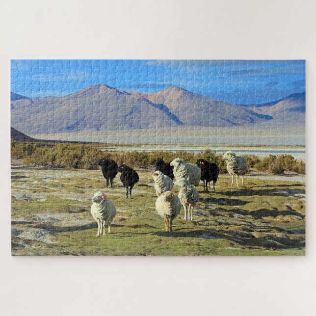 Puzzle Chilien mouton 1014-pc (Horizontal)
